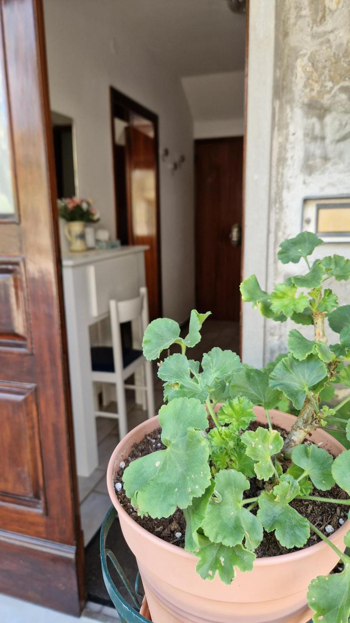 Holiday home Tevere